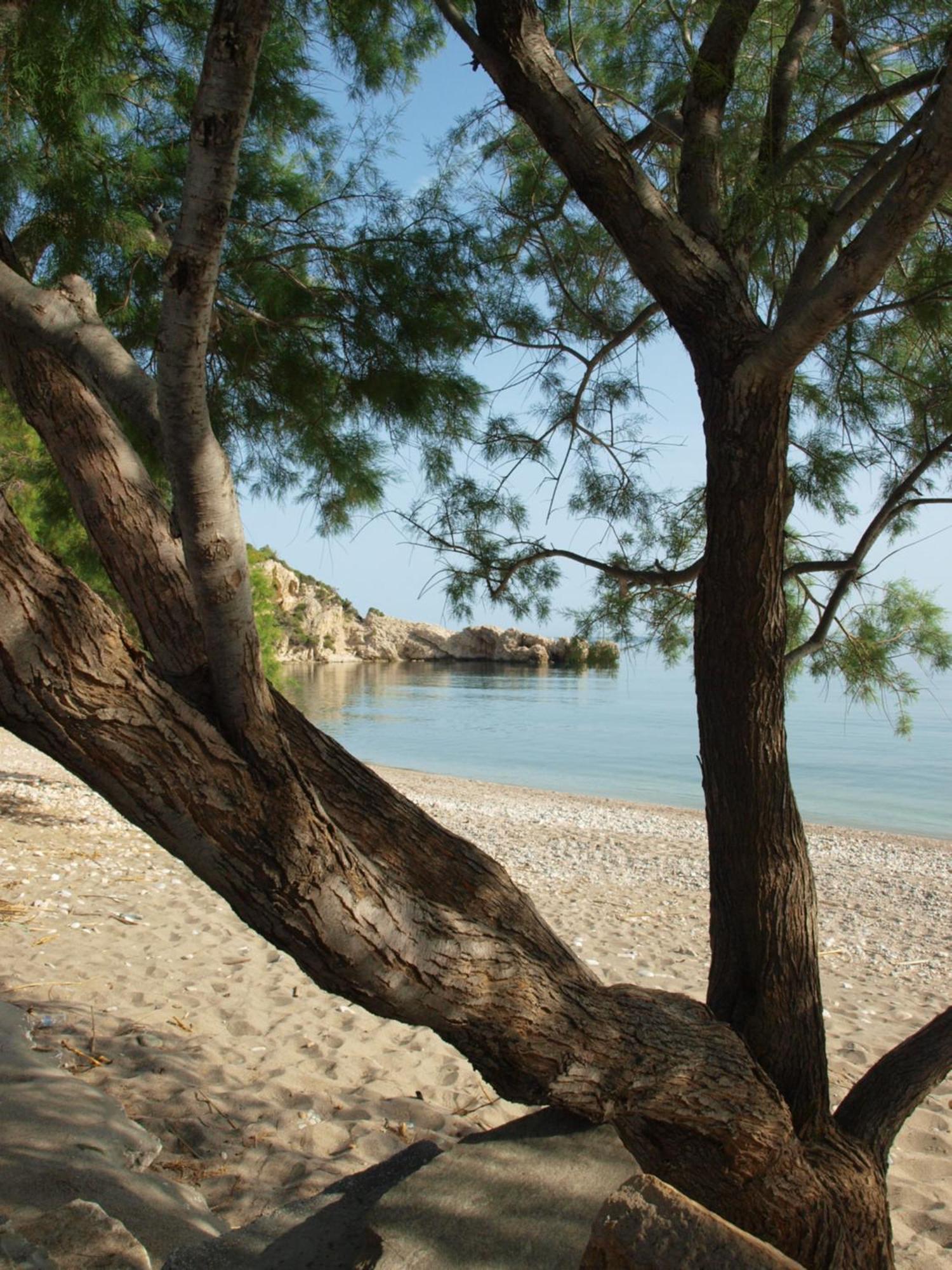 Πανέμορφη σουίτα επισκεπτών, δίπλα στην θάλασσα Βίλα Ormos Koumeikon Εξωτερικό φωτογραφία